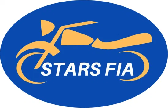 Шлем Stars Fia, новое поступление, 3c Cpsc, индивидуальный мульти